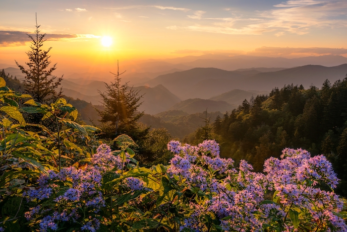 north carolina waynesville long range view