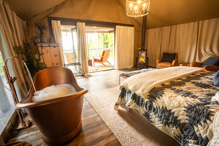 Nuthatch interior tent