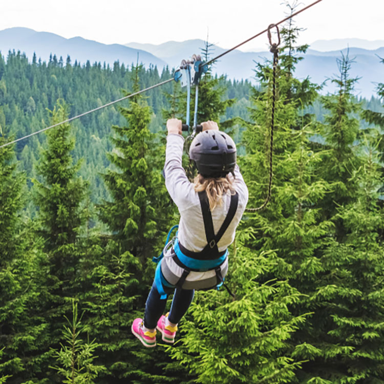 ziplining picture