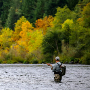Fly Fishing Picture